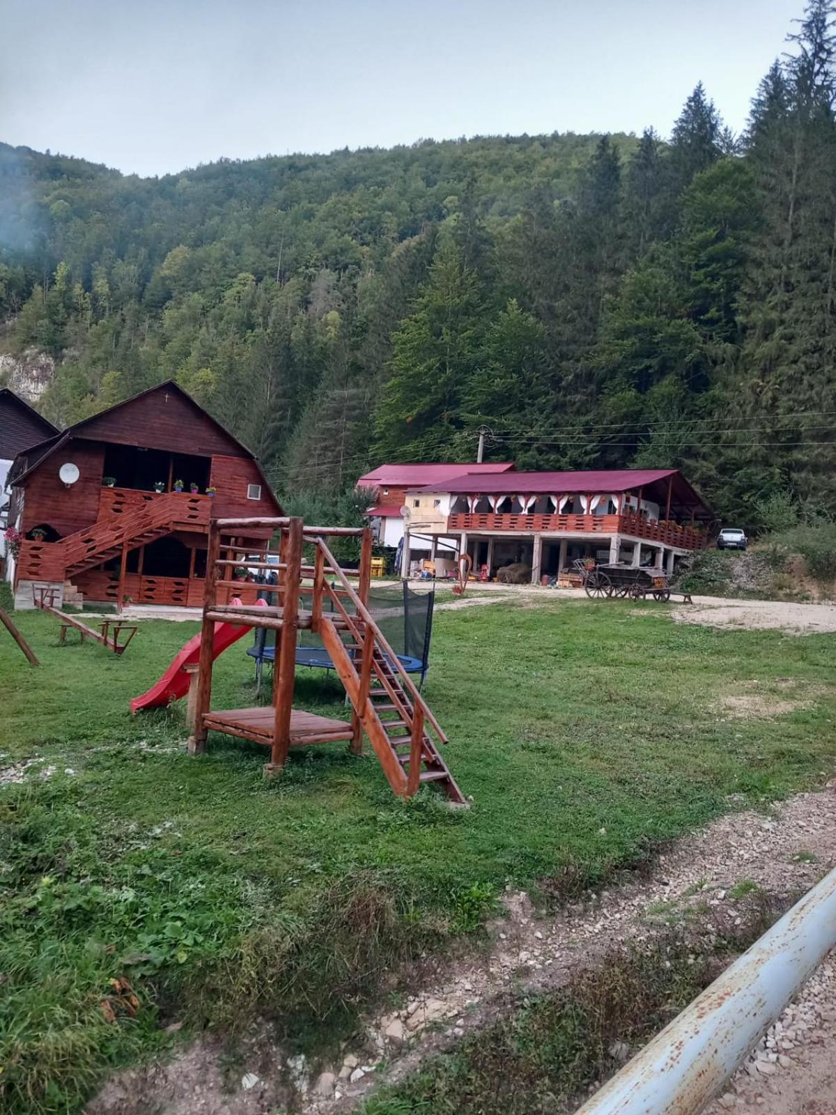 La Marian Pensiune Restaurant Hotel Munună Exterior foto