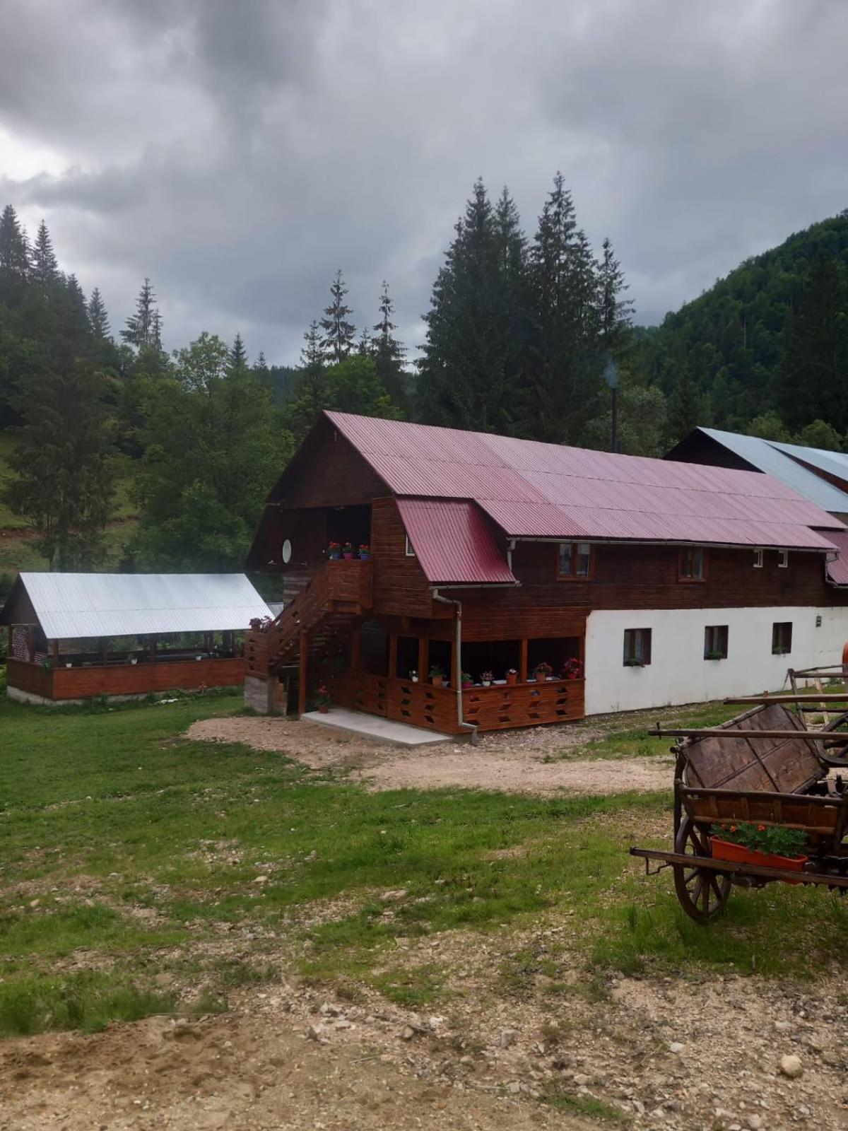 La Marian Pensiune Restaurant Hotel Munună Exterior foto